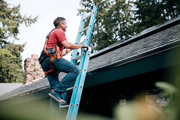 4 Ply Roofing in Morton Grove, IL
